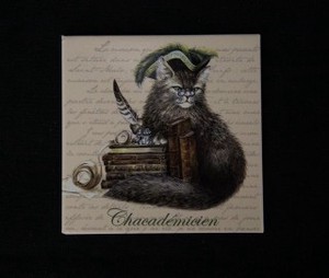 【 セブリーヌ ☆ フランス製 マグネット 】 Chacad?micien 学者 猫 ネコ キャット 磁石 Chats enchantes