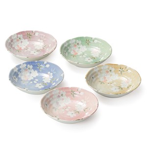 小钵碗 礼盒/礼品套装 祝福 樱花 5个每组 碟子套装 日本制造
