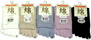 袜子 系列 春夏 棉 日本国内产