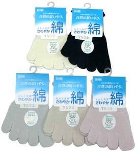 Socks Series Spring/Summer Socks Unisex