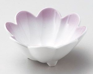 紫吹菊割小鉢【日本製　美濃焼】