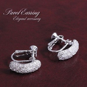 Delicate Shine Elegant Pave Earring Silver Elegance Glitter Decoration