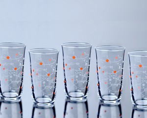 Beer Glass Water Set Made in Japan