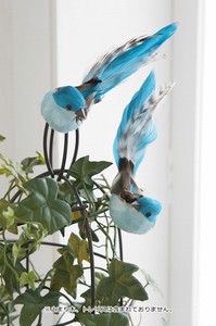 Object/Ornament Assortment Bird