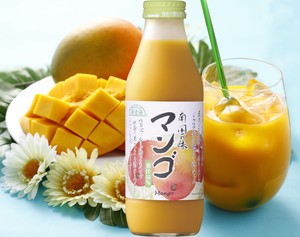 順造選　マンゴ(500ml)【50％混合果汁入り飲料】