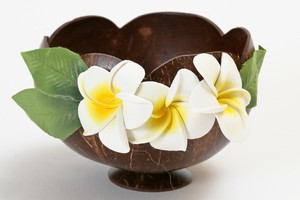 ココナッツ小物入れ