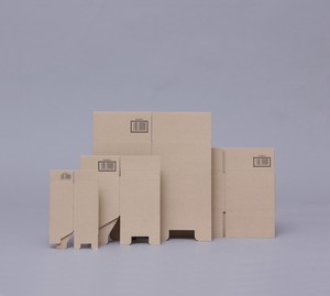 Mini Cardboard Box