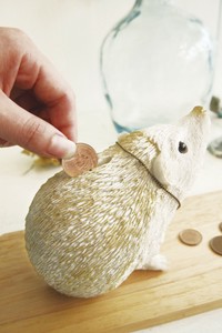 Piggy-bank