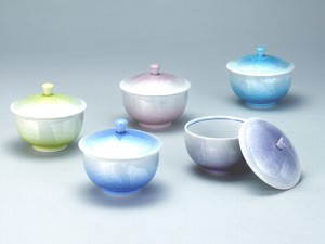 Kutani ware Japanese Tea Cup 5-colors
