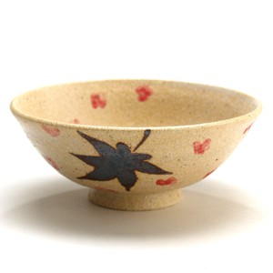 Local Minimum Rice Bowl type Bicolor