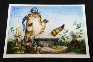 【 セブリーヌ ☆ ポストカード 5枚セット 】 Juin 6月 猫 ネコ キャット はがき Chats enchantes