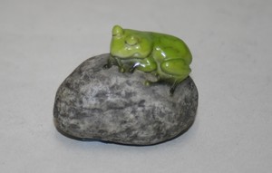 石しがみつき蛙