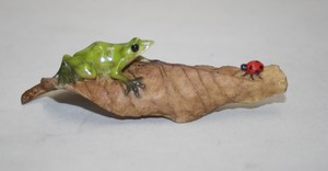 木の葉乗り蛙WITH天道虫