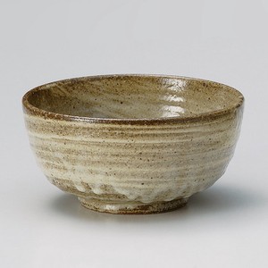 Shigaraki ware Large Bowl Donburi