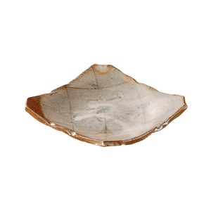 Shigaraki ware Main Plate