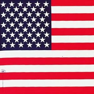 HAV-A-HANK PATRIOTIC&FLAGS BANDANA  22309