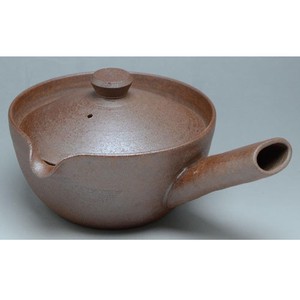 Kyo/Kiyomizu ware Japanese Teapot L size Tea Pot