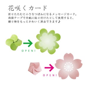 花咲くカード【色紙/寄せ書き/四葉/桜/カード】