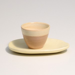 Shigaraki ware Cup & Saucer Set