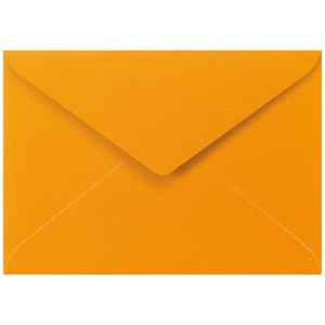 2 Envelope Mandarin Orange