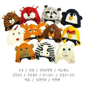 针织帽 动物 11种类
