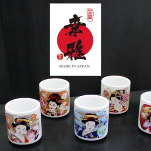 Mini Japanese Sake Cup Set