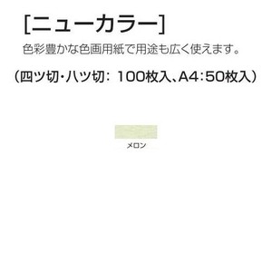 アーテック ニューカラー 8切100枚 16133 メロン