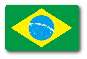 SK-229 国旗ステッカー ブラジル（BRAZIL） 国旗100円ステッカー スーツケースステッカー
