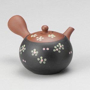 Tokoname ware Japanese Teapot collection