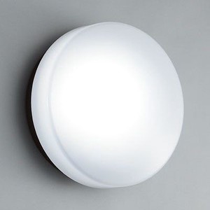 LED一体型ﾌﾞﾗｹｯﾄﾗｲﾄ 白熱灯40W相当 電球色 AD2561L