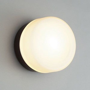 LED一体型ﾌﾞﾗｹｯﾄﾗｲﾄ 白熱灯40W相当 電球色 AD2564L