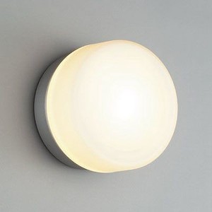 LED一体型ﾌﾞﾗｹｯﾄﾗｲﾄ 白熱灯40W相当 電球色 AD2566L