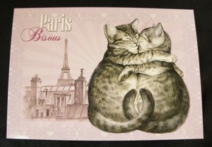 Postcard Cat