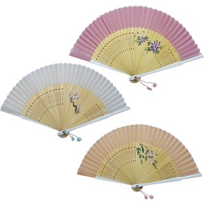 Hand-Painted Silk Folding Fan Japanese Craft
