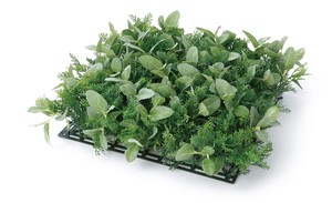 Herb Natural Mat