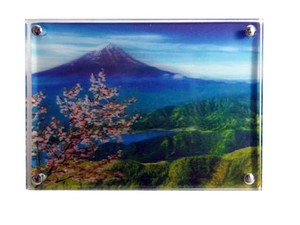 浮き出る3Dフォトマグネット　富士山桜と山◆外国人観光客向け.お土産◆