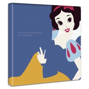 白雪姫のアートパネル スノーホワイト  ファブリック ボード ディズニーdsn-0307
