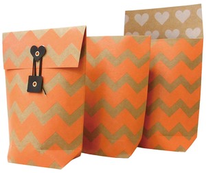 Fancy Paper Bag Gift Presents Knickknacks Stationery