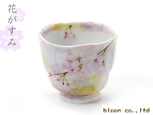 Hana-gasumi Japanese Tea Cup Pink Mino Ware Made in Japan