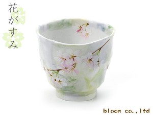Hana-gasumi Japanese Tea Cup Green Mino Ware Made in Japan