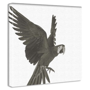 【アートデリ】鳥の壁掛けアート インテリア 雑貨 アート シンプルモダン  pho-0108