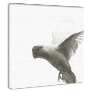 【アートデリ】鳥のファブリックボード インテリア 雑貨 アート シンプルモダン  pho-0109