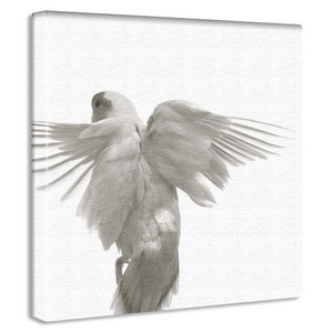 【アートデリ】鳥のアートパネル インテリア 雑貨 アート シンプルモダン  pho-0111