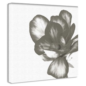 【アートデリ】植物のファブリックボード インテリア 雑貨 アート シンプルモダン  pop-0101