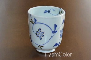 Hasami ware Japanese Tea Cup Made in Japan