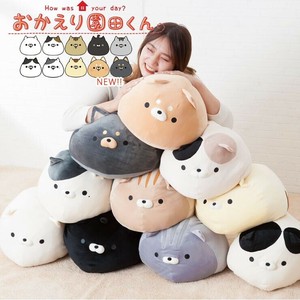 Cushion Cat Okaeri Sonoda-kun