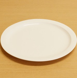 Main Plate