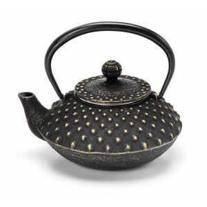 Nambu Tekki Japanese Tea Pot type Arare Japanese Tea Pot Tea Pot Traditional crafts