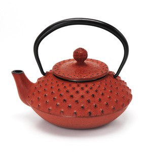 Nambu Tekki Japanese Tea Pot type Arare Bay Japanese Tea Pot Tea Pot Traditional crafts