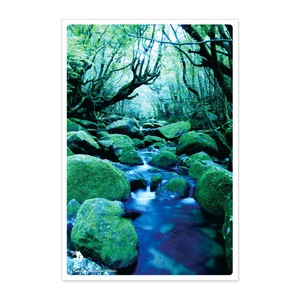 < 夏ポストカード >日本の絶景ポストカード JPC-10 屋久島